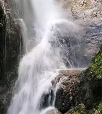 动物帮帮忙保卫家园