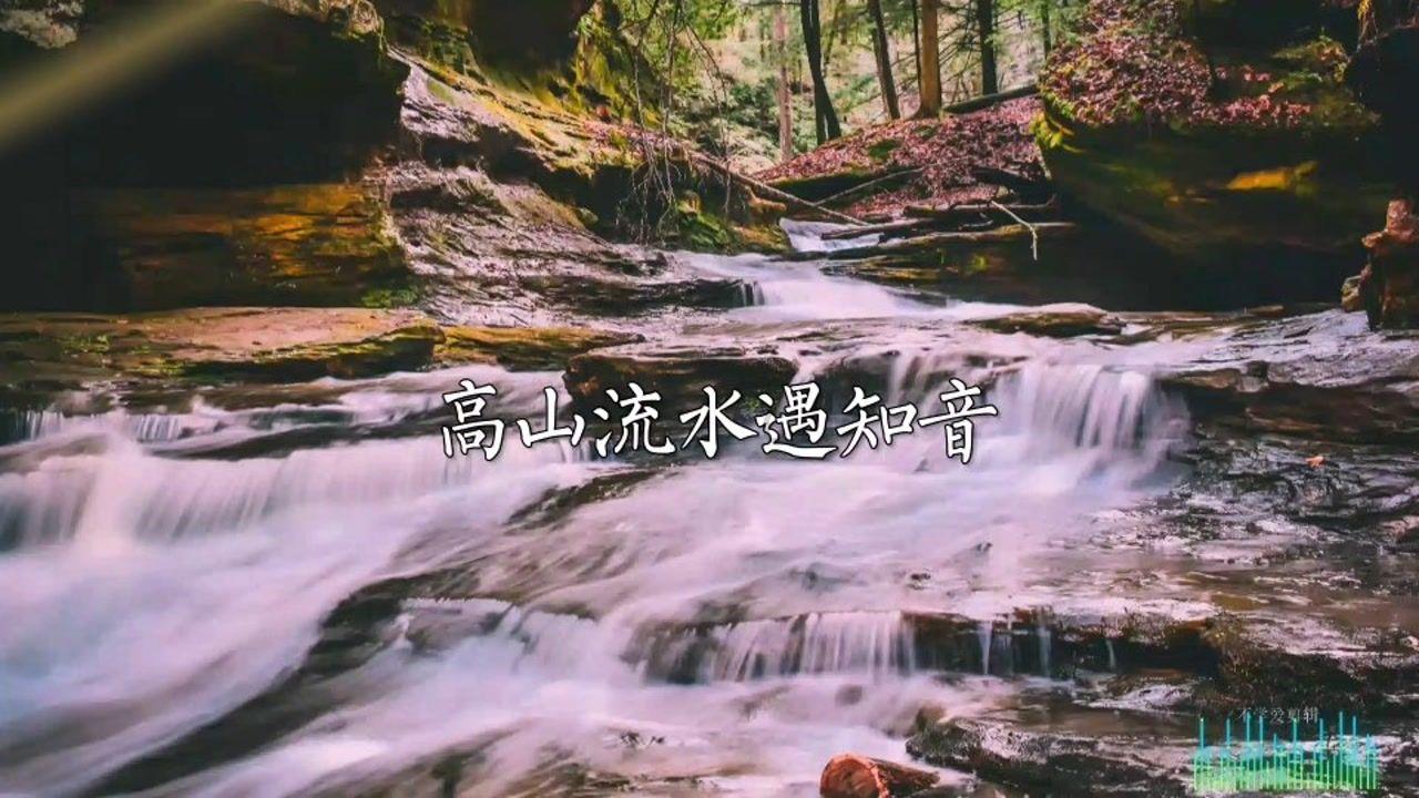 细胞分裂6